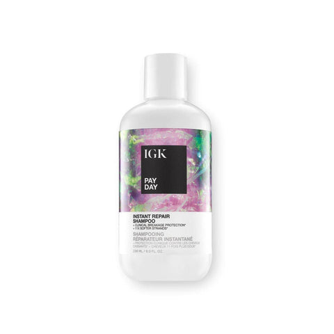 PAY DAY SHAMPOO & CONDITIONER DUO — Default Title 4