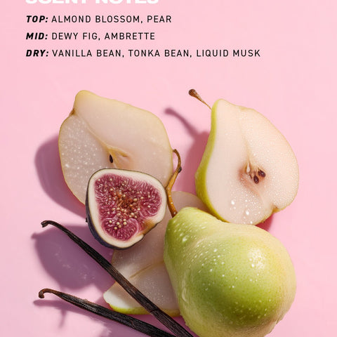Velvet Muse Vanilla Hair and Body Fragrance Mist 10
