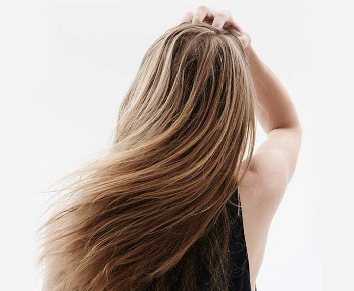 How To Care For Your Scalp & Why