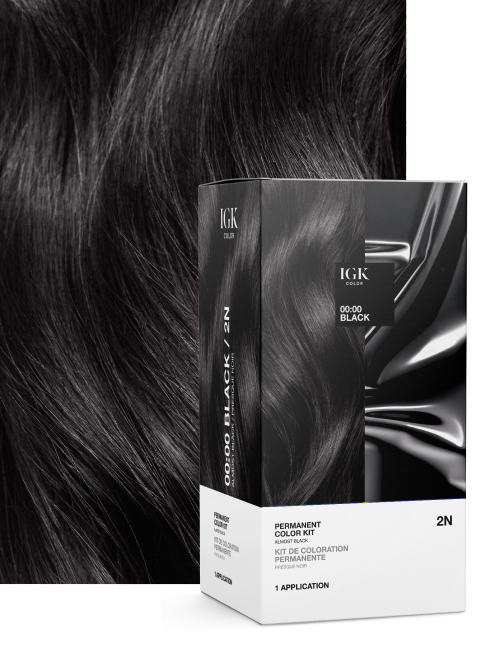 Permanent hair color swatch - Black 2N