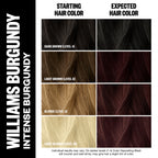 Williams-Burgundy