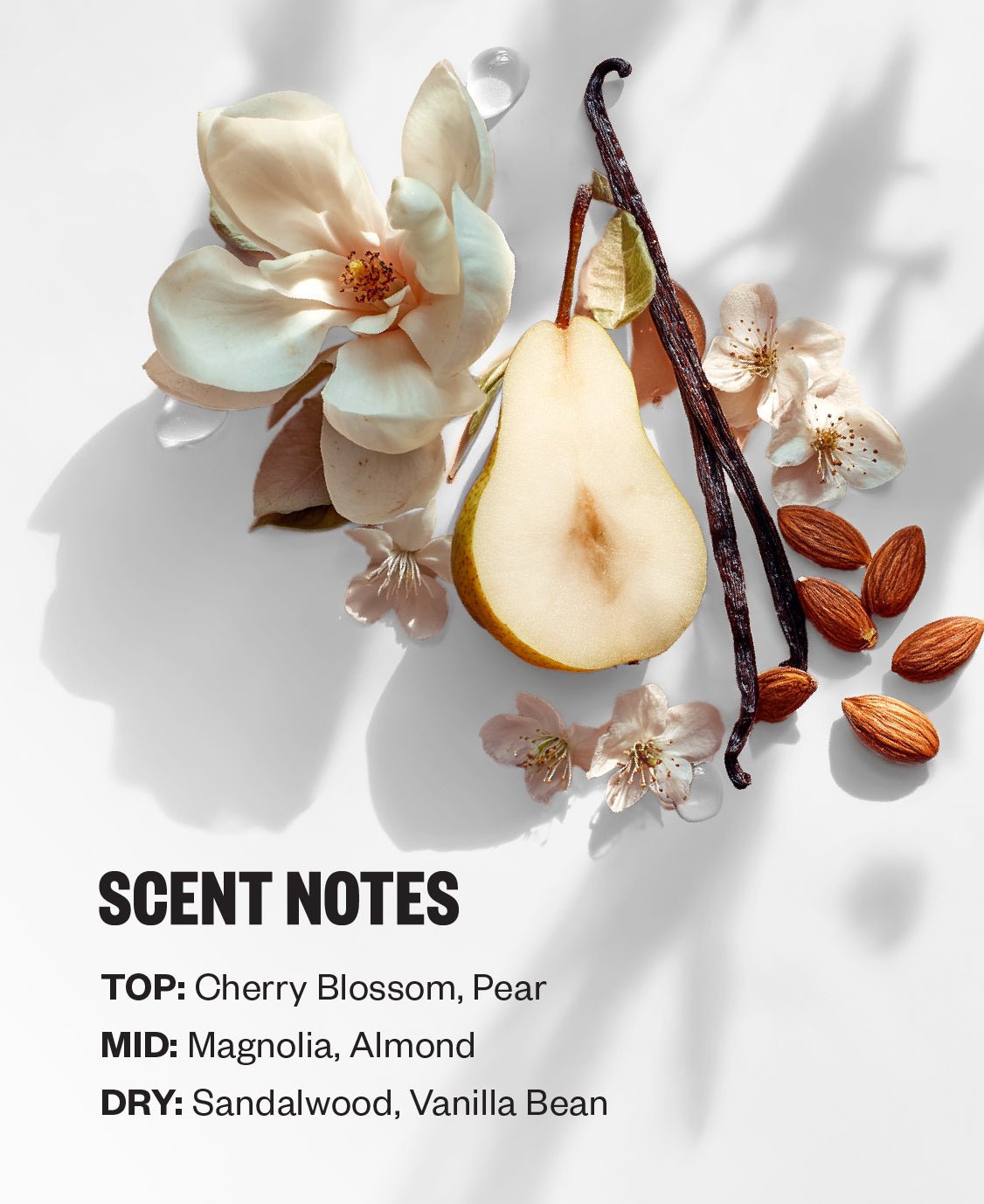 Club Lights Clear Gloss Instant Shine Style Perfector