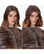 Fresh Flight Dry Shampoo Trio