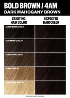 Permanent Color Kit - Brown Shades