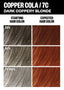 PCK_Copper Cola_ColorChart_Gray_1512x2116.jpg