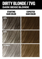 PCK_Dirty Blonde_ColorChart_Gray_1512x2116.jpg