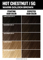 Permanent Color Kit - Brown Shades