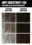 PCK_Hot Chestnut_ColorChart_Gray_1512x2116.jpg
