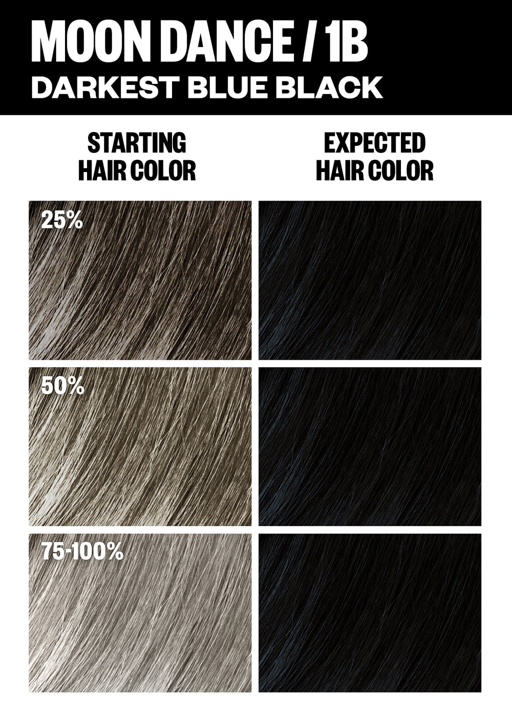 Permanent Color Kit - Black Shades