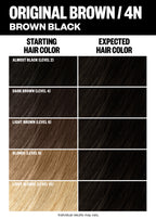 Permanent Color Kit - Best Sellers