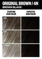 Permanent Color Kit - Best Sellers