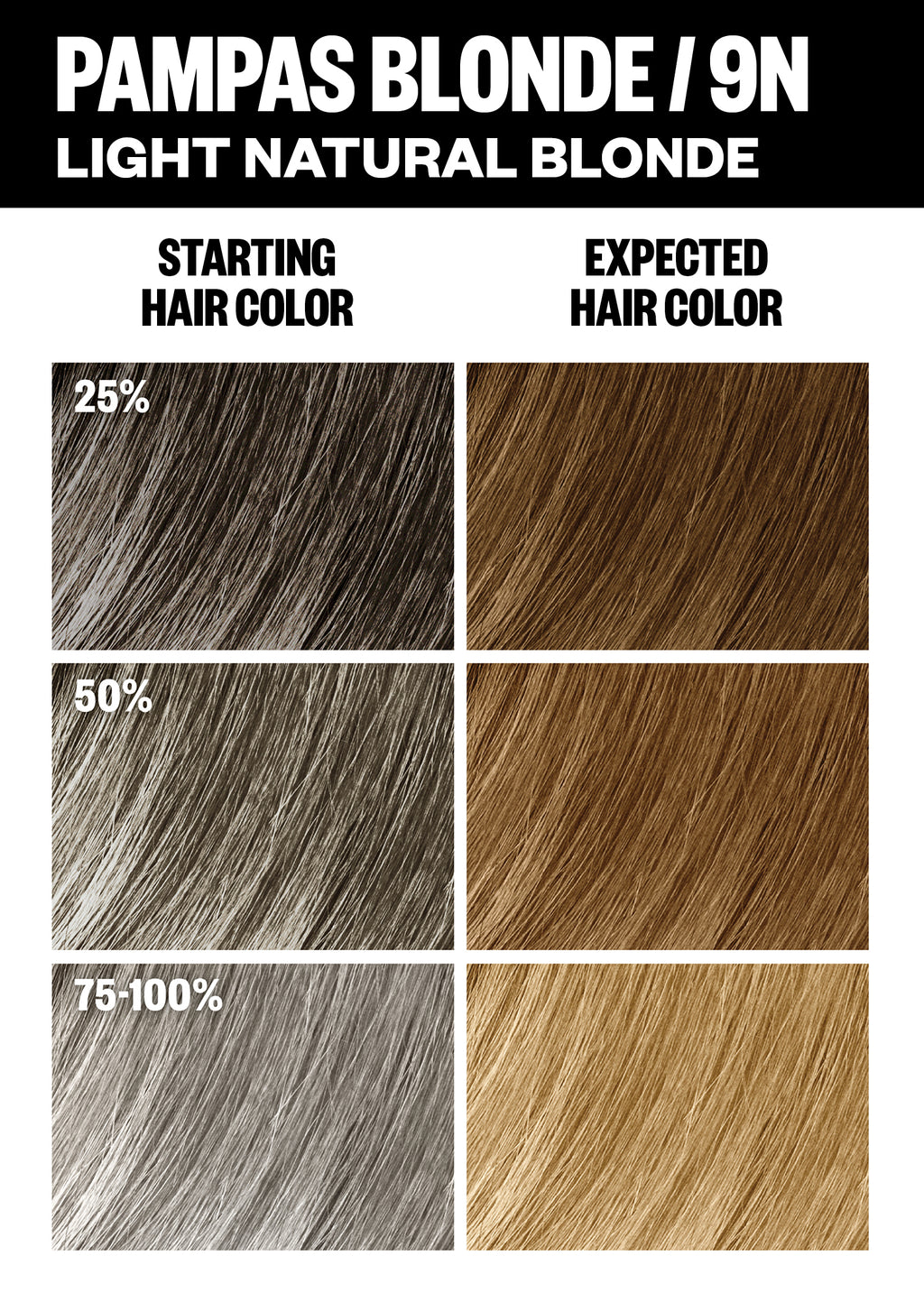 PCK_Pampas Blonde_ColorChart_Gray_1512x2116.jpg