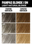 PCK_Pampas Blonde_ColorChart_Gray_1512x2116.jpg