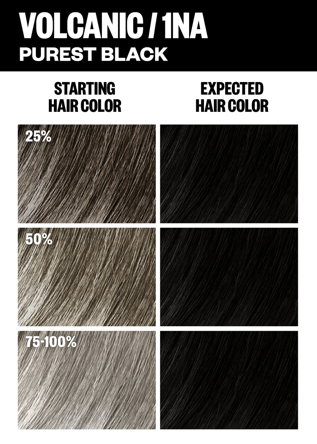 Permanent Color Kit - Black Shades