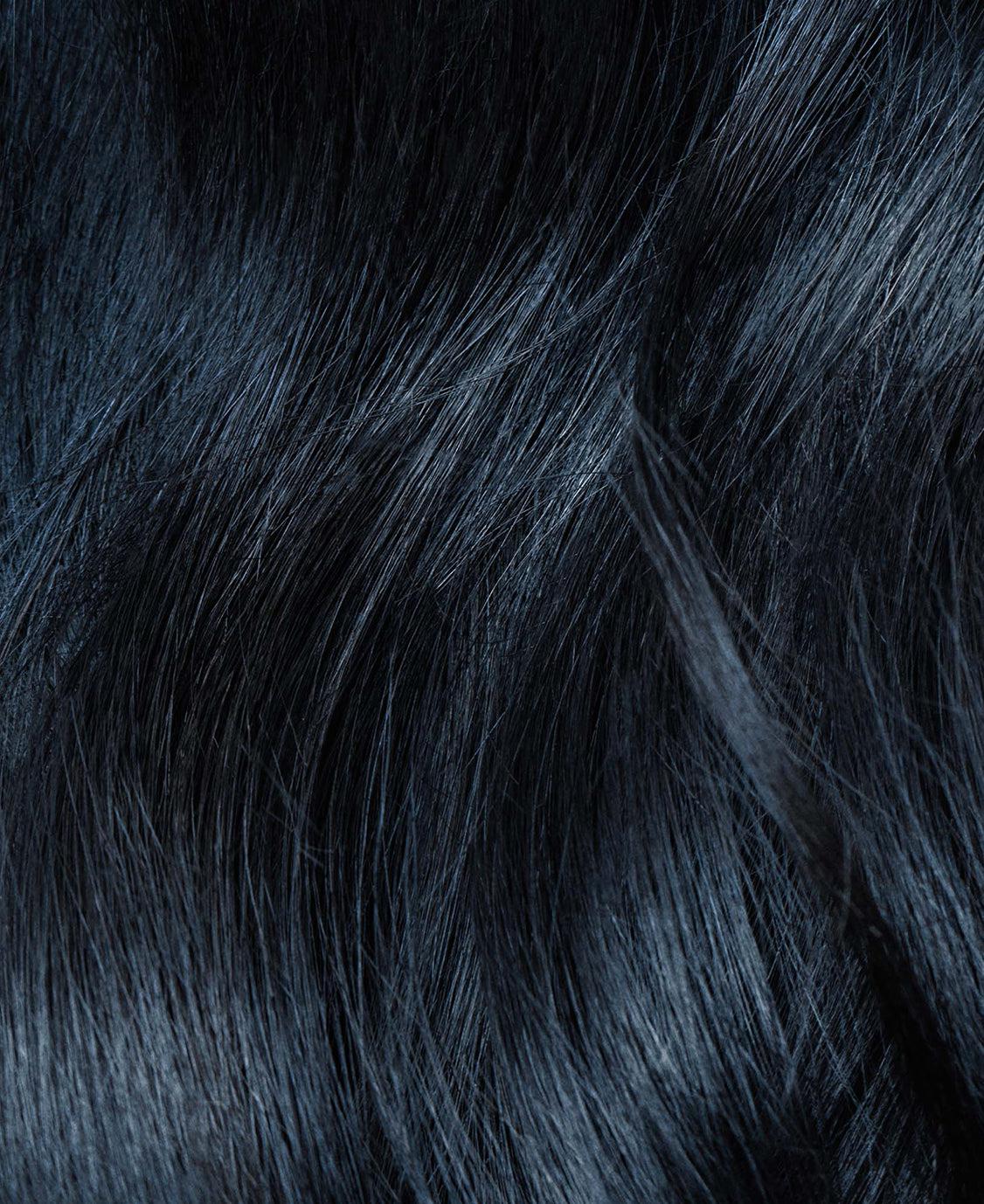 Grey, Feather, Electric blue, Fur, Pattern, Eyelash, Wood, Fashion accessory, Tail, Darkness