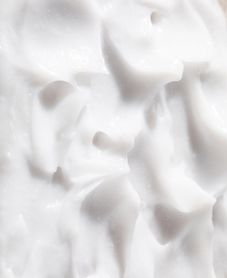 LEGENDARY SHAMPOO & CONDITIONER DUO key ingredients